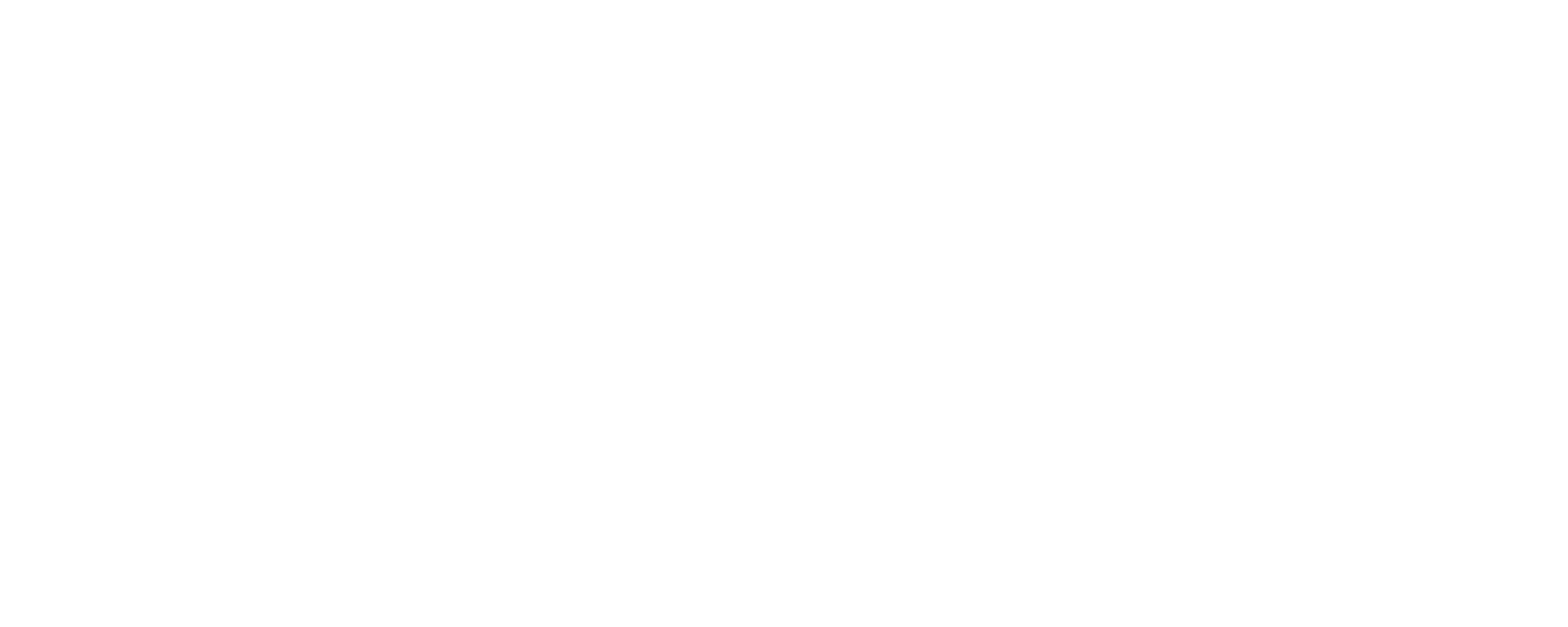 Jet Service Logo